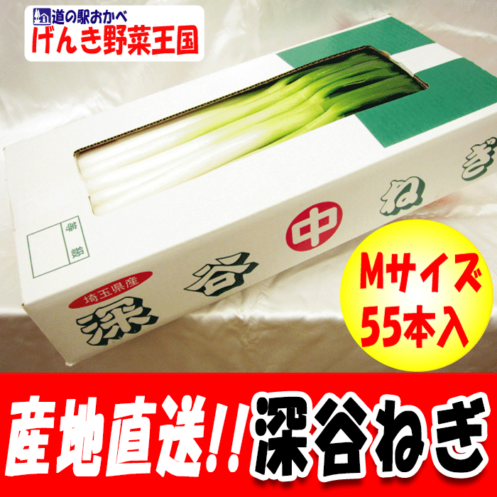 深谷ねぎ むきねぎMサイズ55本