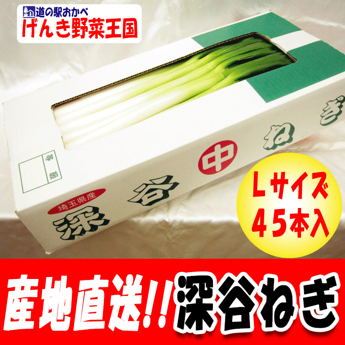 深谷ねぎ むきねぎLサイズ45本