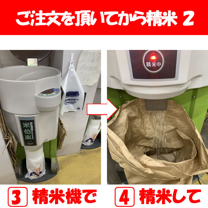 精米作業2