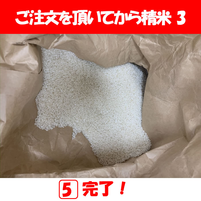 精米作業3