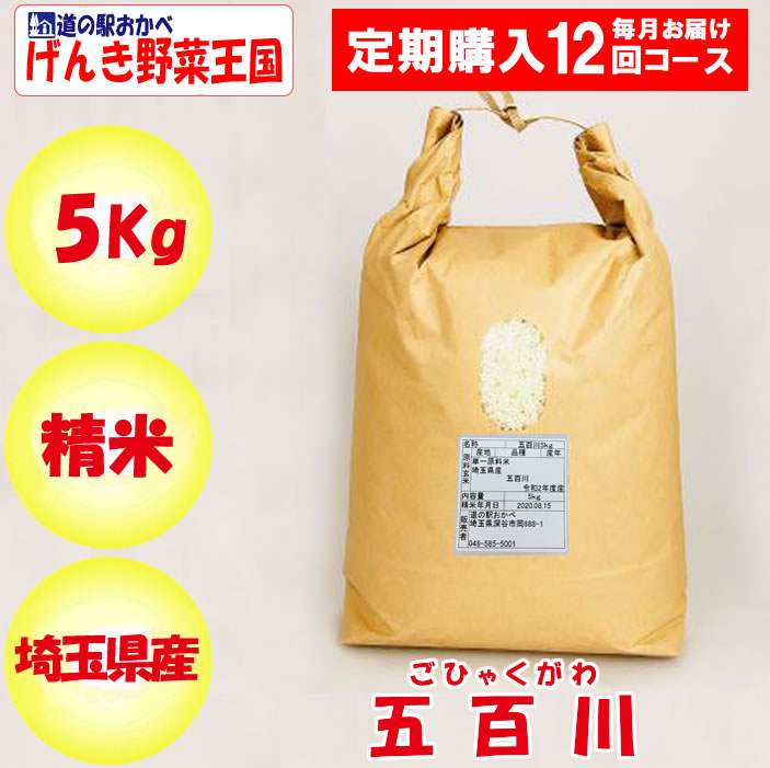埼玉県産五百川5kg