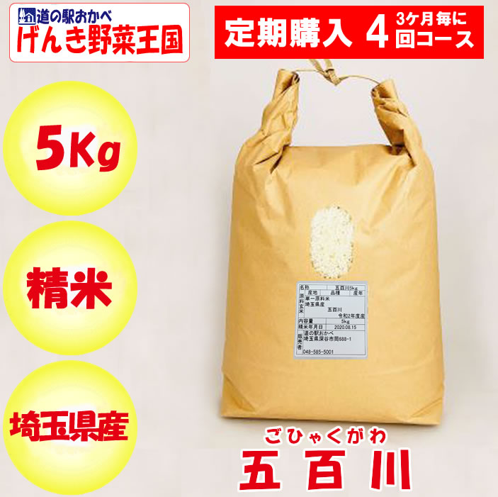 埼玉県産五百川5kg
