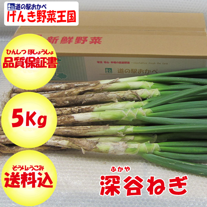 冬ギフト】深谷ねぎ 5Kg 送料込み 贈答用【発送期日：11月下旬から発送