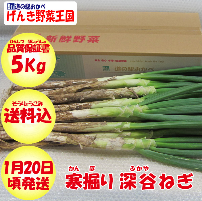 寒掘り深谷ねぎ5kg
