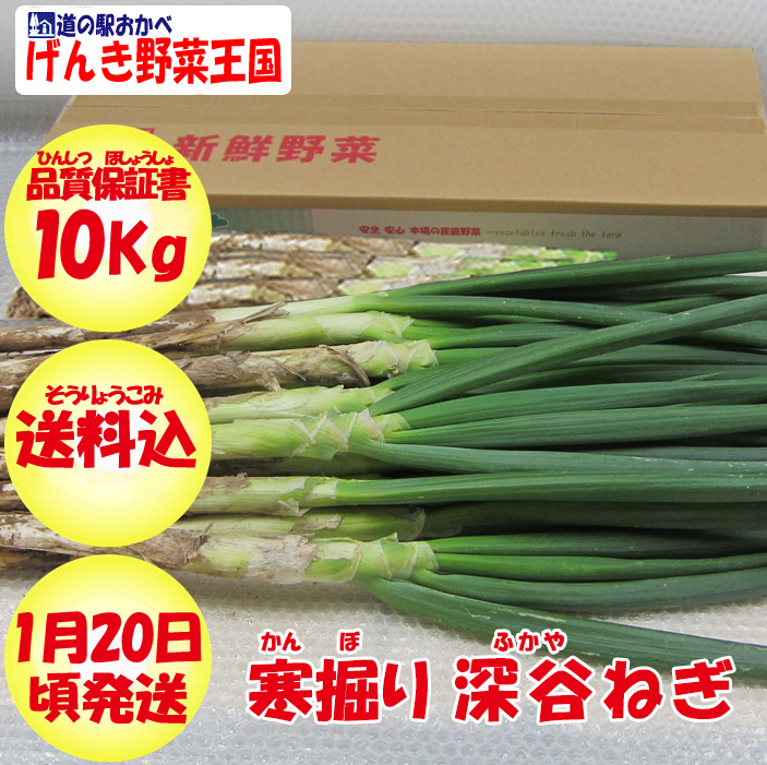 寒掘り深谷ねぎ10kg