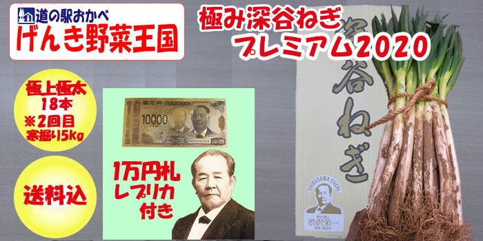 プレミアム深谷ねぎ5kg