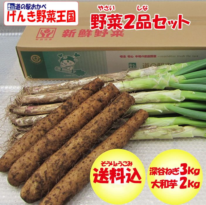 野菜セット2品