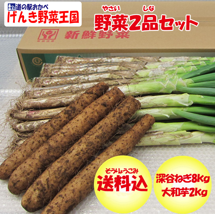野菜２品１０ｋｇセット