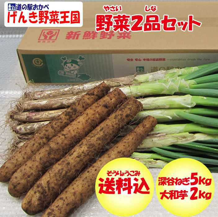 野菜セット2品 ねぎ5kg・大和芋2Kg