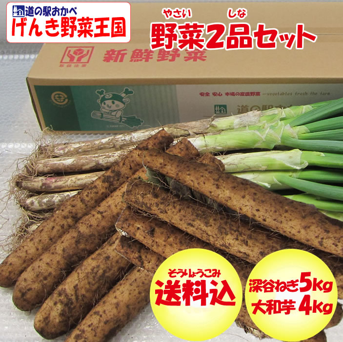 野菜セット2品 ねぎ5kg