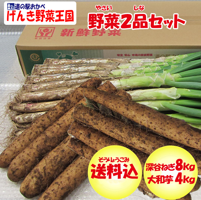 野菜セット2品 ねぎ8kg・大和芋4Kg