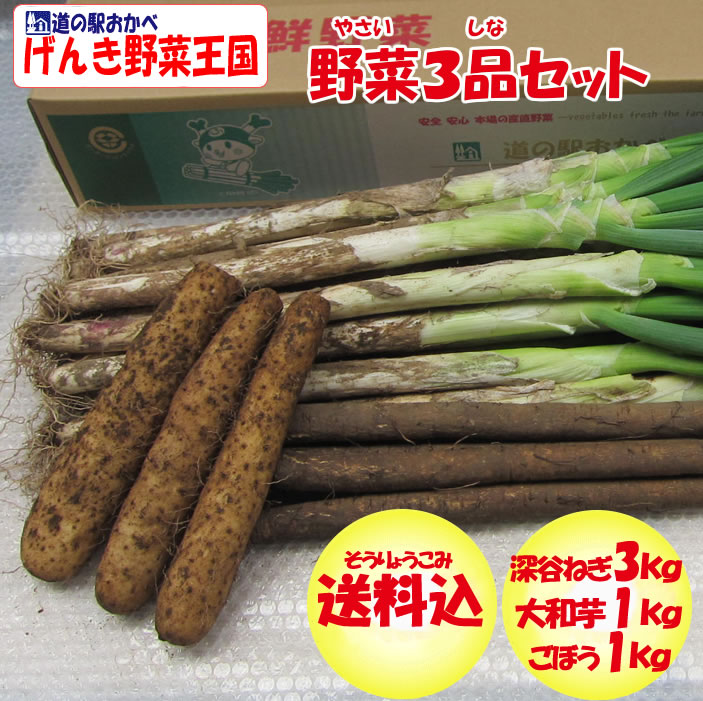 野菜セット3品