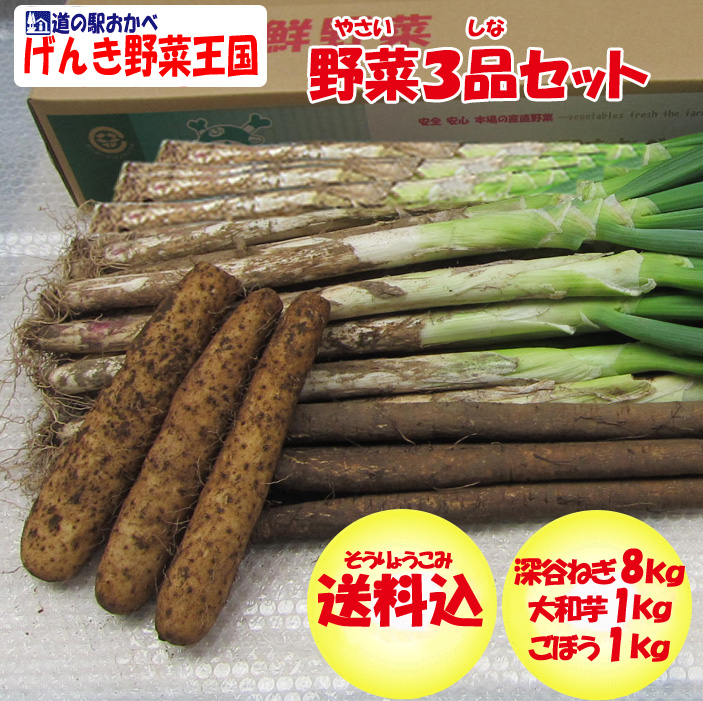野菜セット3品