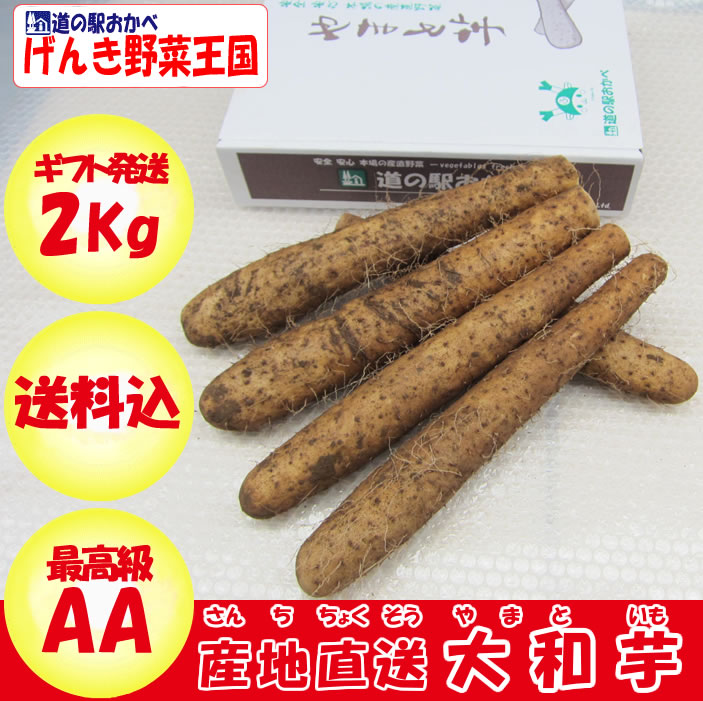 AA品2kg