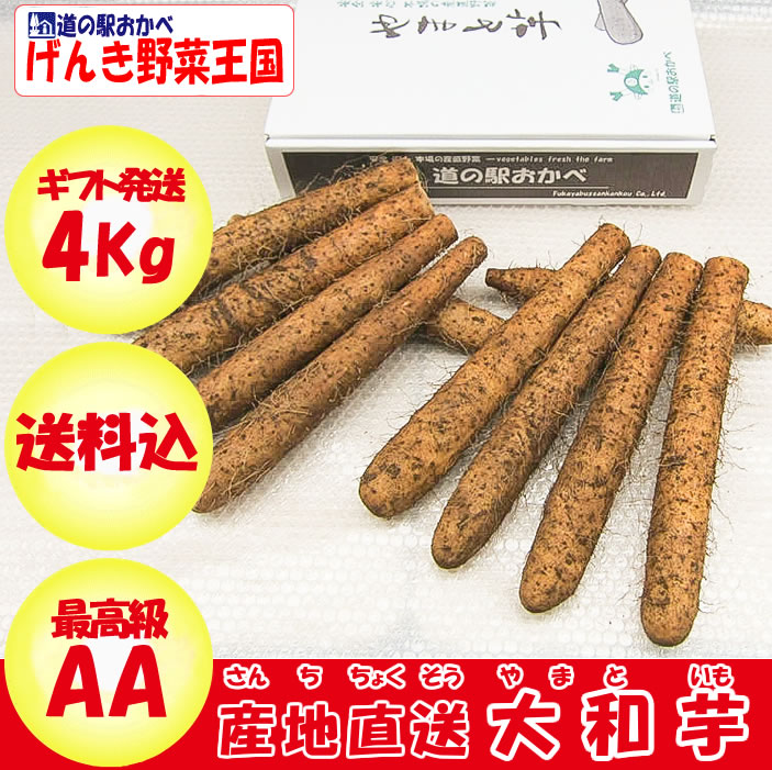 AA品4kg