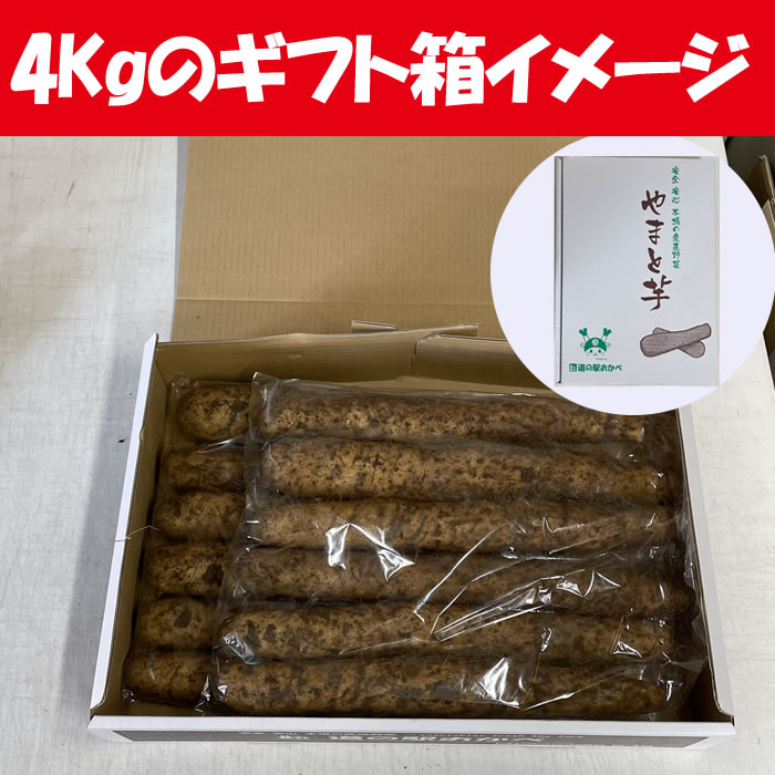 4kgのイメージ箱入り