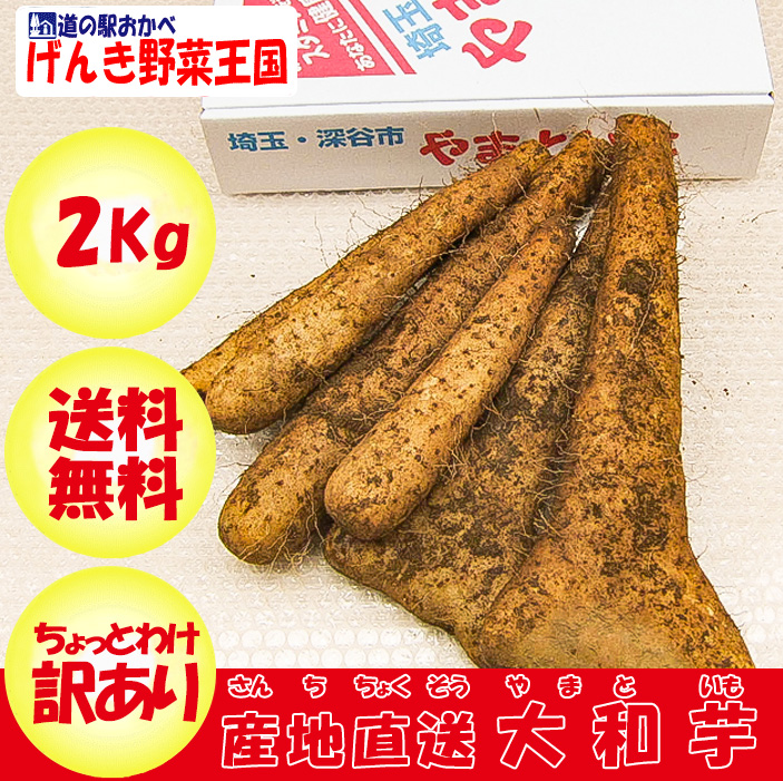 本場 大和芋2Kg A品
