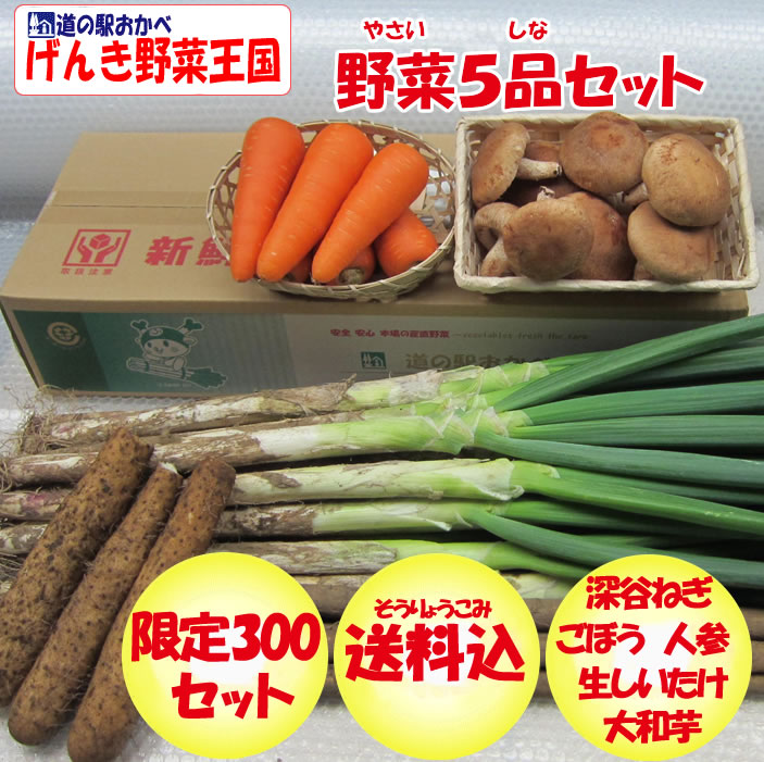 野菜セット5品