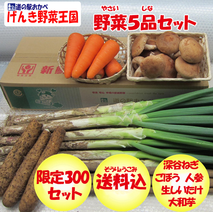 野菜セット5品