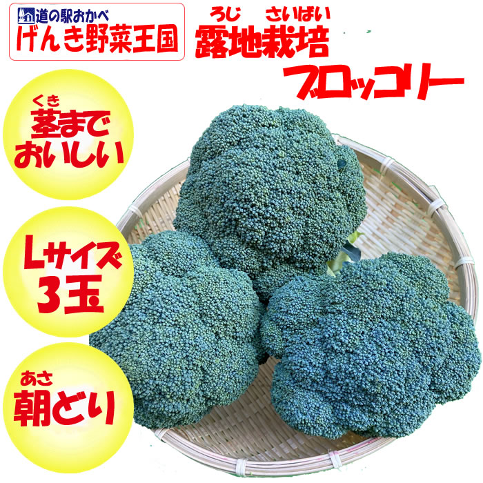 ブロッコリーLサイズ3玉