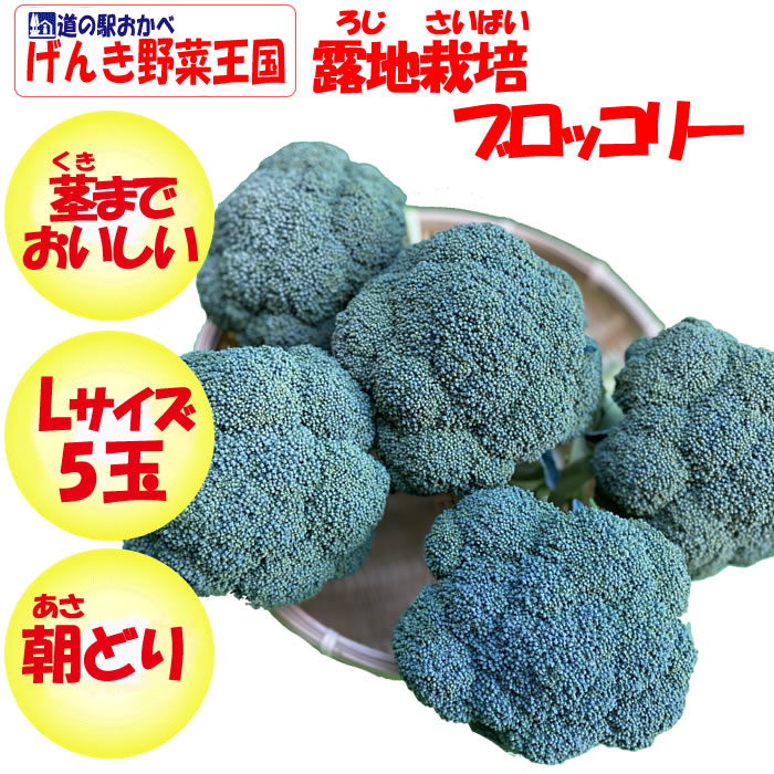 ブロッコリーLサイズ5玉