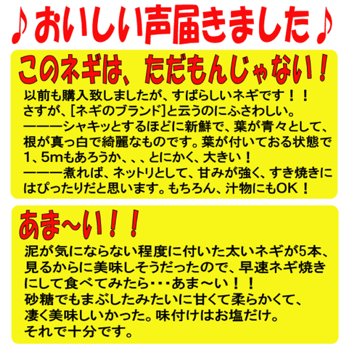 美味しい声をいただきました