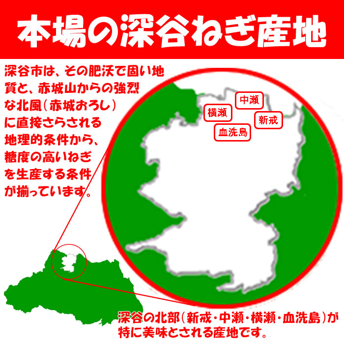 本場の深谷ねぎ産地