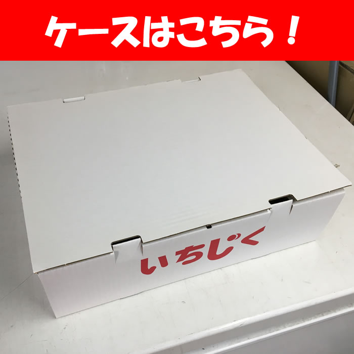 ケース外観