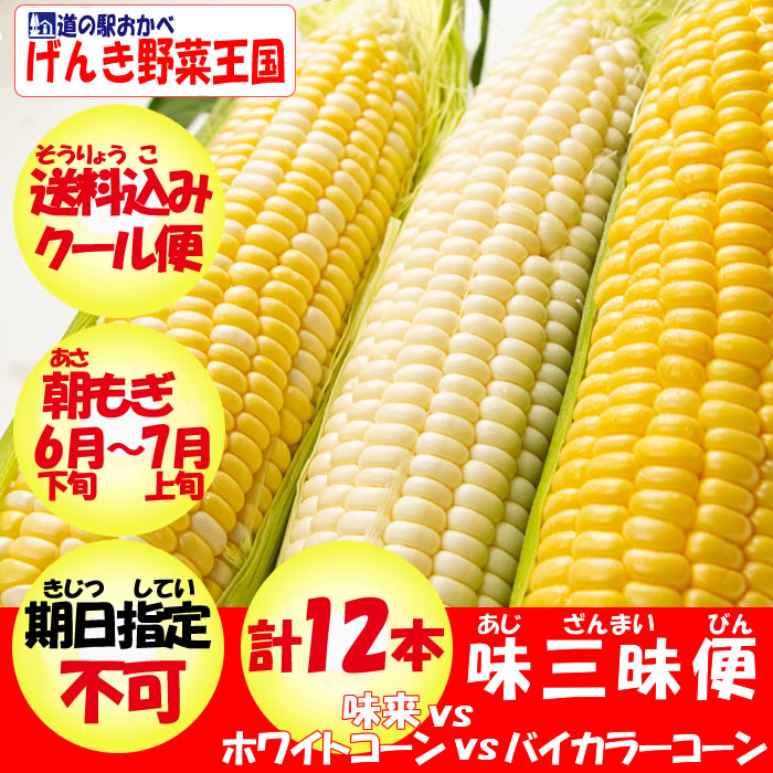 道の駅おかべ】夏ギフト 深谷産の野菜はおいしさいっぱい|ネットショップ