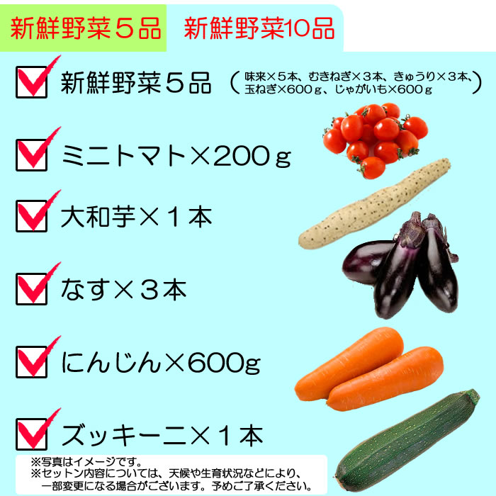 野菜10品