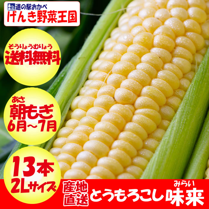 味来(みらい)2Lサイズ 13本
