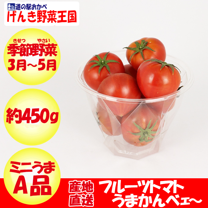 トマト祭り・あなたにピッタリのトマトはどれ？