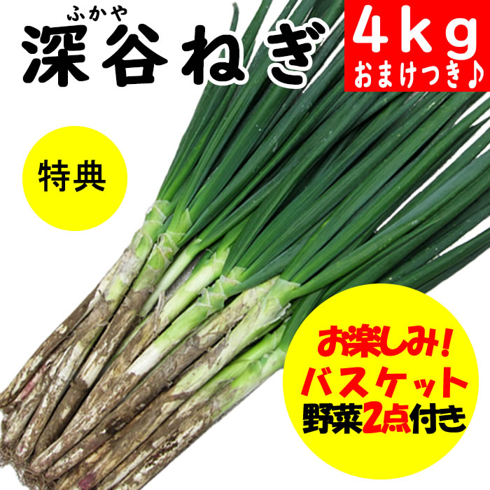 深谷ねぎ2kg特典付き