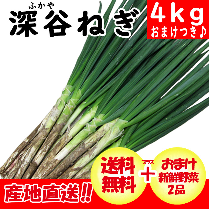 深谷ねぎ土付き4kg＋野菜2品