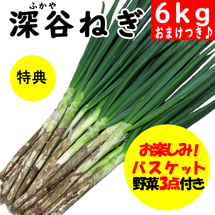 ダブル購入特典付き　寒掘り深谷ねぎフェア　1/6-1/31】深谷ねぎ6Kgセット　常温発送／クール便（気温によって配送方法変更）】　無選別　送料無料【産地直送