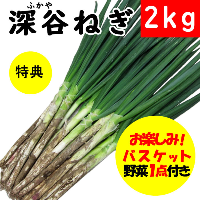 深谷ねぎ2kg特典付き