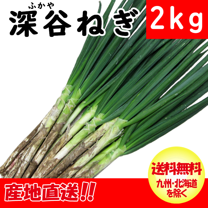 深谷ねぎ土付き2kg