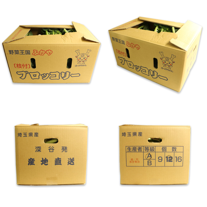 ブロッコリーLサイズ箱売り（12玉）箱外観