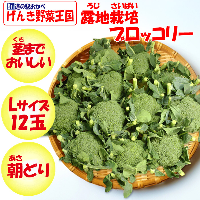 ブロッコリーLサイズ箱売り（12玉）