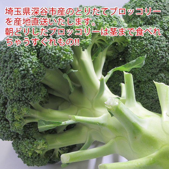 深谷のブロッコリー・茎までおいしい