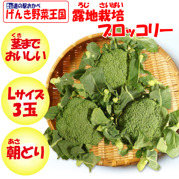 ブロッコリーLサイズ３玉