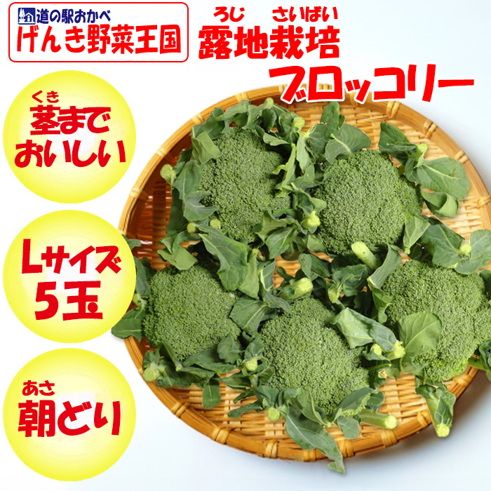 ブロッコリー Lサイズ 5玉 朝どり 露地栽培 産地直送【送料別 常温