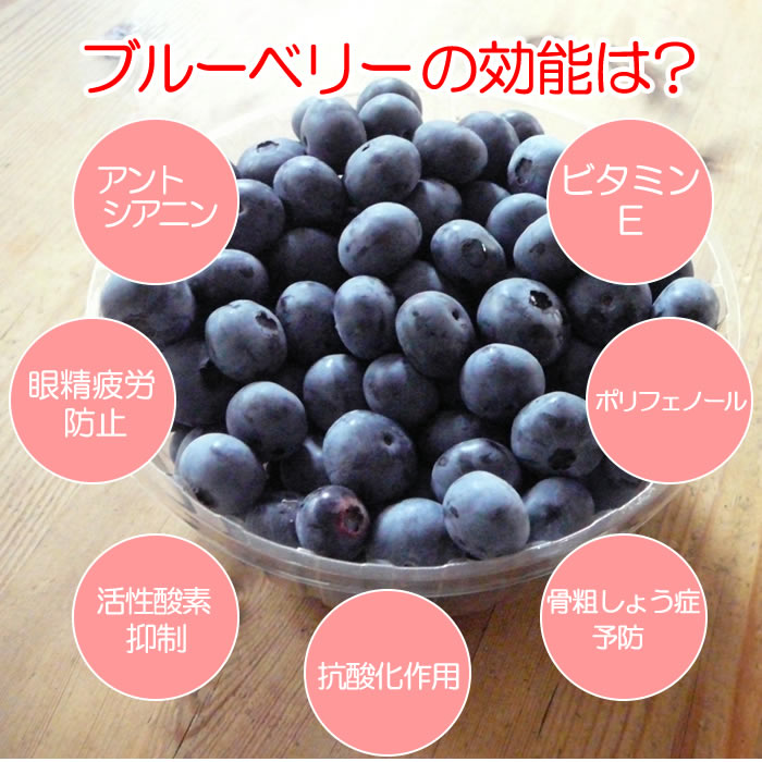 ブルーベリーの効能2
