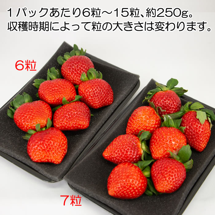 粒数の違い11