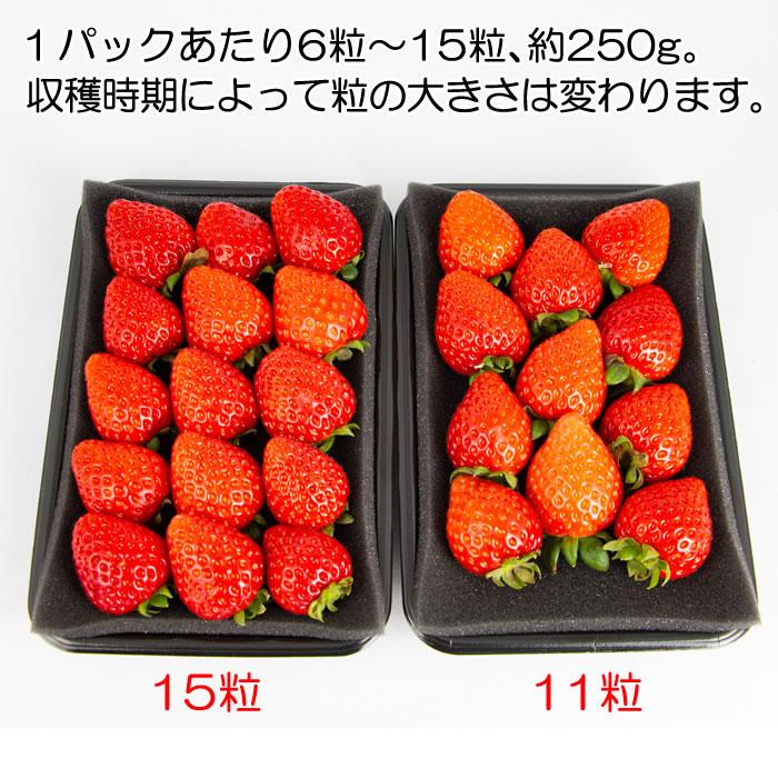 粒数の違い2