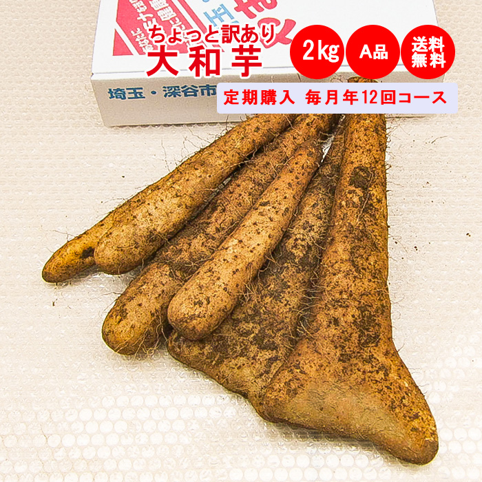 大和芋2kg定期 12回コース