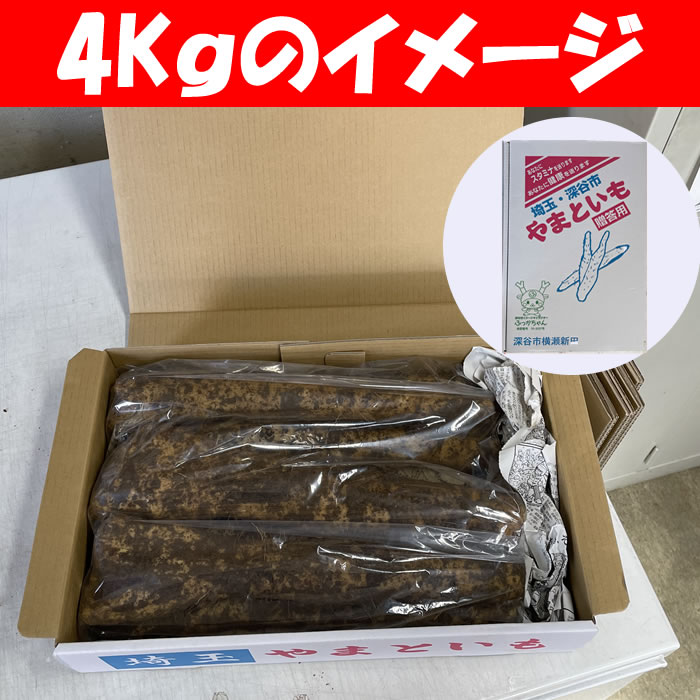 わけあり4kg化粧箱入り