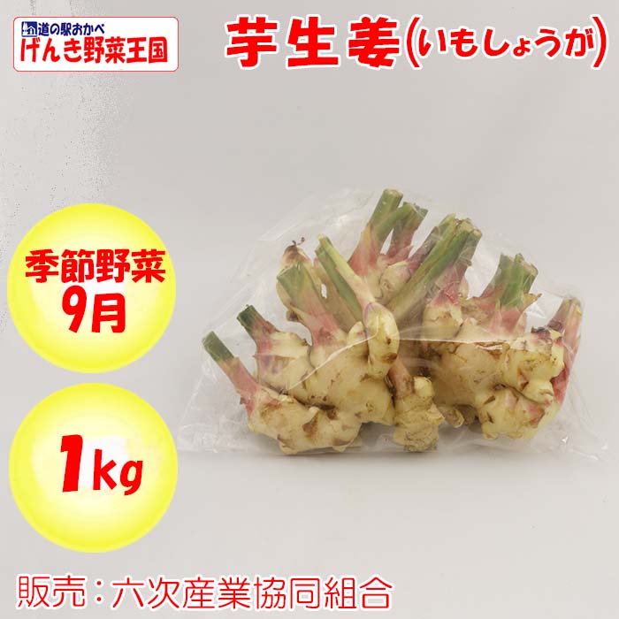 芋生姜 1kg