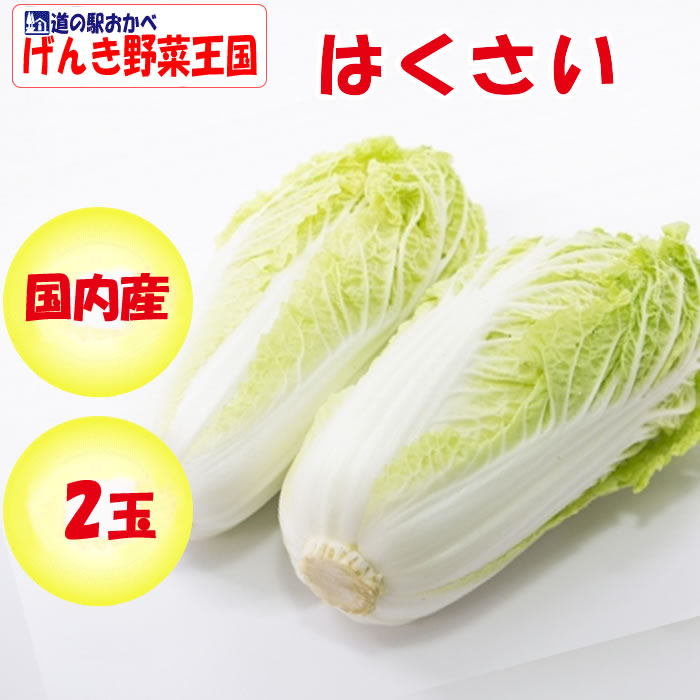 はくさい Lサイズ 2玉 1.8kg以上／玉×2【送料別 常温発送 季節