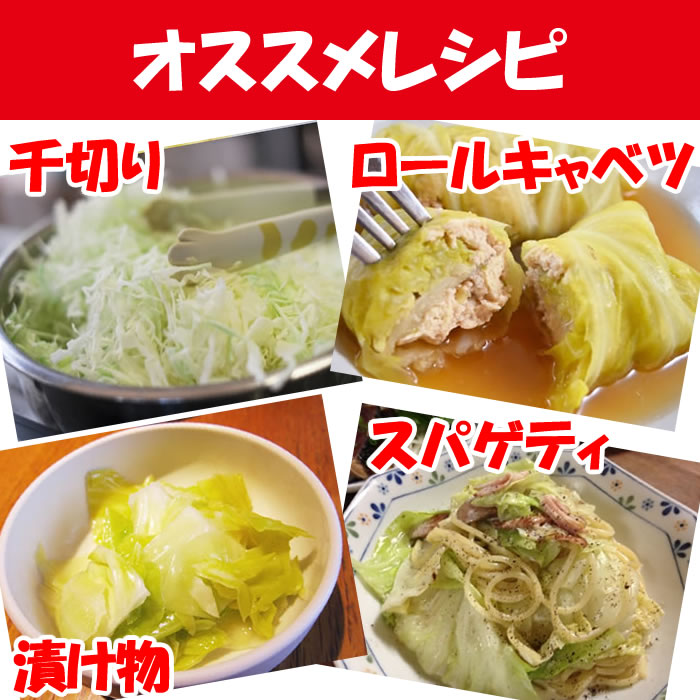 オススメレシピ
